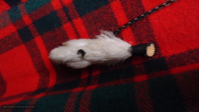 FINE HIGH QUALITY SCOTTISH VICTORIAN ERA DRESS REGALIA - Image 17 of 25