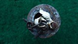 UNMARKED SHELL AND BUSH PATTERN FLASK - 3 of 3