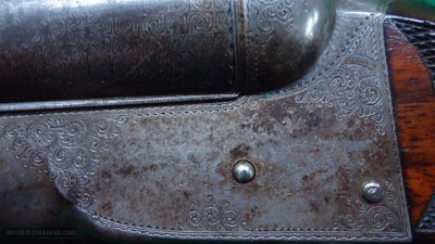 COLT MODEL 1883 DOUBLE BARREL SIDE BY SIDE 10 GAUGE SHOTGUN - Image 8 of 24