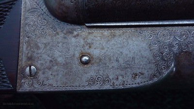 COLT MODEL 1883 DOUBLE BARREL SIDE BY SIDE 10 GAUGE SHOTGUN - Image 10 of 24
