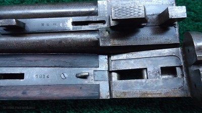 COLT MODEL 1883 DOUBLE BARREL SIDE BY SIDE 10 GAUGE SHOTGUN - Image 17 of 24