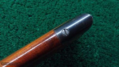 SAVAGE MODEL 1899 RIFLE CHAMBERED IN SAV 303 - Image 19 of 24