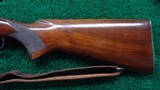 PRE-64 WINCHESTER MODEL 70 BOLT ACTION RIFLE CHAMBERED IN 22 HORNET - 18 of 22