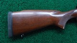 WINCHESTER PRE-64 MODEL 70 IN CALIBER 375 H&H MAGNUM - 19 of 21