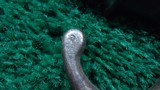 PRE-WW1&WW1 FRENCH LEBEL BAYONET WITH SCABBARD FOR MODEL 1886 - Image 7 of 15