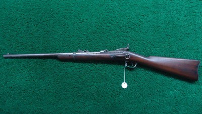 U.S. SPRINGFIELD MODEL 1884 TRAPDOOR SRC - Image 24 of 25