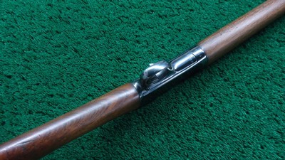 RESTORED WINCHESTER MODEL 03 SEMI-AUTO RIFLE IN 22 WIN AUTO - Image 3 of 22
