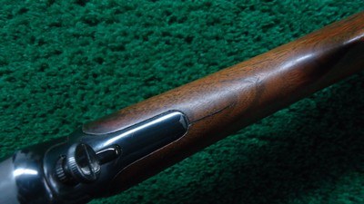 RESTORED WINCHESTER MODEL 03 SEMI-AUTO RIFLE IN 22 WIN AUTO - Image 8 of 22