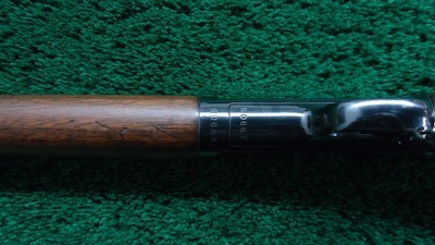 RESTORED WINCHESTER MODEL 03 SEMI-AUTO RIFLE IN 22 WIN AUTO - Image 9 of 22