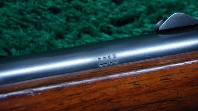 WINCHESTER MODEL 03 SEMI-AUTO RIFLE IN 22 WIN AUTO - Image 13 of 23