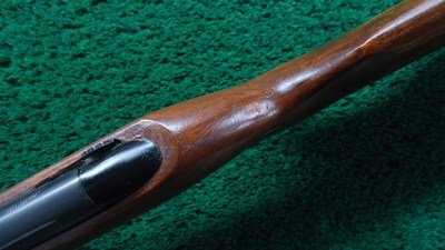 STEVENS-SAVAGE MODEL 34 BOLT ACTION RIFLE FOR 22 S, L or LR - Image 8 of 23