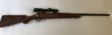 Model 70 Pre 64 Winchestor .270 - 4 of 8