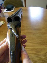 ZabralaSXS 20 GA,,3