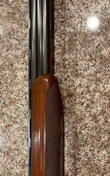 Winchester 101 20 ga pigeon grade - 7 of 7