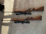 Ruger 1's 22-250 and 204 - 1 of 5