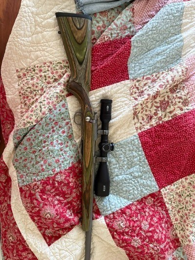 Ruger 77/22 - 22 hornet green all weather - Image 1 of 8