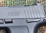 SIG P365 9mm Pistol - Free Shipping - 3 of 6