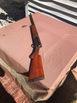 1961 Browning A5 Light 2020 Gauge - 9 of 16