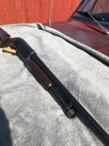 Ithaca Model 37 Prewar 16 Gauge Mod Choke Hand Chased Engraving - 8 of 15