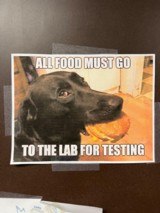 Wilson Combat, CQB Elite, Long Slide, 45ACP - 14 of 14