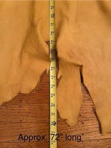 Elk Hide Full Grain Whole Hide - 5 of 6