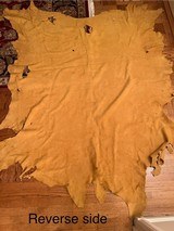 Elk Hide Full Grain Whole Hide - 6 of 6