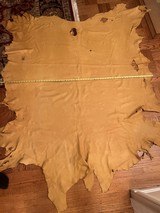Elk Hide Full Grain Whole Hide - 2 of 6