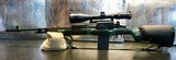 M1A with Oversized Camo Stock and Gov't Scope - 1 of 14