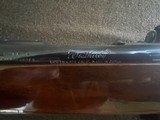 Weatherby Mark V .22-250 - 13 of 15