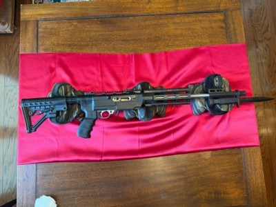 Archangel Conversion By ProMag .22 LR