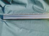BROWNING SUPERPOSED 20 GA GRADE 1 SOLD - 4 of 8