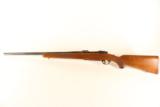 RUGER M77 .243 - 1 of 8