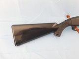 REMINGTON NYLON 66 .22 L.R. - 6 of 11