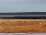 BROWNING AUTO 5 SWEET SIXTEEN - 5 of 13