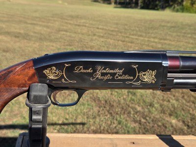 BROWNING BPS 12 GA DUCKS UNLIMITED