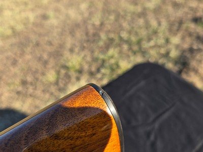 BELGIUM MADE BROWNING AUTO 5 SWEET 16 - Image 22 of 25