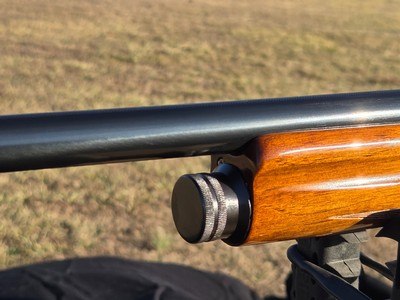 BELGIUM MADE BROWNING AUTO 5 SWEET 16 - Image 8 of 25