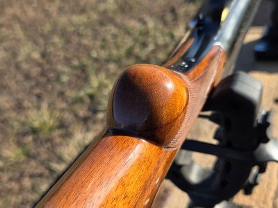 BELGIUM MADE BROWNING AUTO 5 SWEET 16 - Image 19 of 25