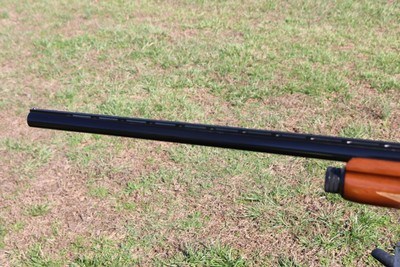 Browning Auto 5 Magnum Twenty Invector - Image 15 of 16