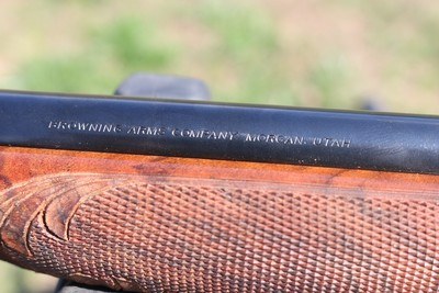 Browning Sa-22 CUSTOM BY ART ISSACSON - Image 7 of 19