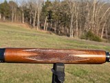 BELGIUM BROWNING AUTO 5 LIGHT 12 - Image 20 of 21