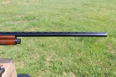 Browning Auto 5 Magnum Twenty - Image 6 of 14