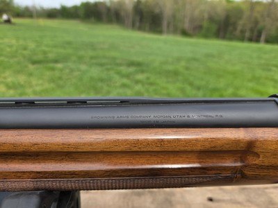 NWTF BROWNING AUTO 5 12 MAG - Image 8 of 25