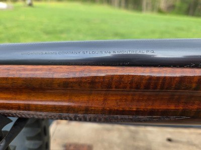 BELGIUM BROWNING AUTO 5 SWEET 16 - Image 8 of 24