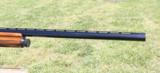 Browning A5 Light Twelve FULL RESTORATION - Image 8 of 17