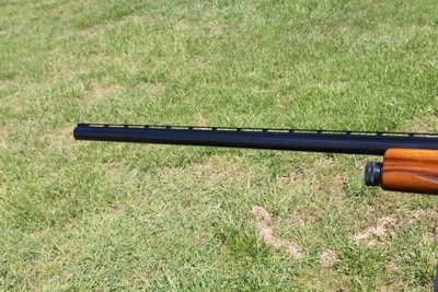 Browning A5 Light Twelve FULL RESTORATION - Image 11 of 13