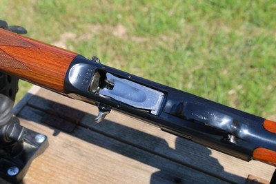 Browning A5 Light Twelve FULL RESTORATION - Image 9 of 15
