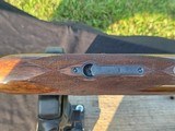 CHARLES DALY SUPERIOR 12 GA - Image 18 of 20