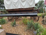 BROWNING A5 20 MAG - Image 16 of 25