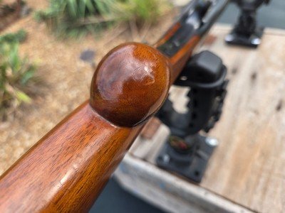 BELGIUM BROWNING AUTO 5 SWEET 16 - Image 21 of 25